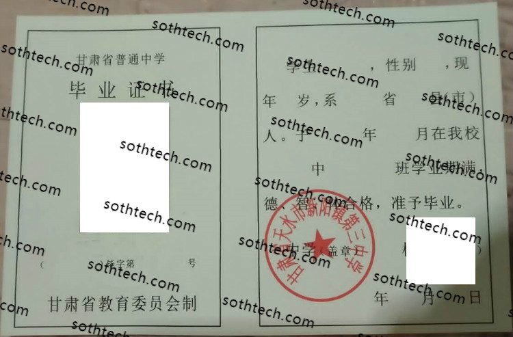 甘肃省天水市新阳镇第三中学毕业证样本