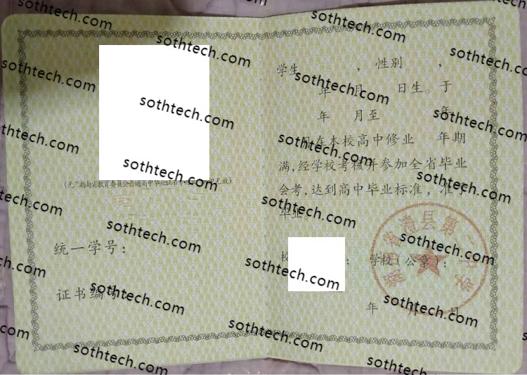 湖南省澧县第二中学毕业证样本