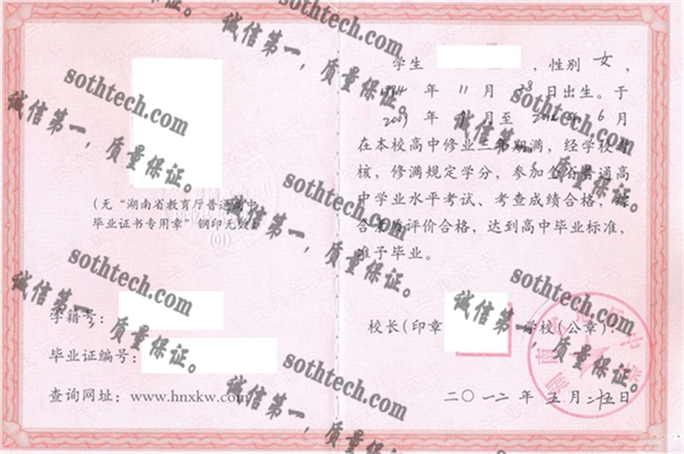 湖南省地质中学毕业证样本